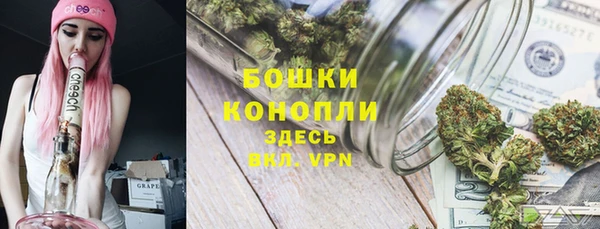 ГАЛЛЮЦИНОГЕННЫЕ ГРИБЫ Абдулино