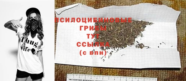 ГАЛЛЮЦИНОГЕННЫЕ ГРИБЫ Абдулино