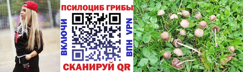 Псилоцибиновые грибы мицелий  купить закладку  Иваново 